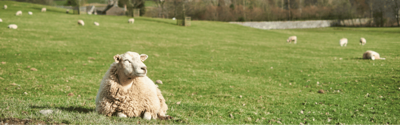 A Guide to Agricultural and Tractor Finance